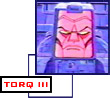 TORQ III -- super computer